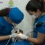 Escolares de San Ramón recibieron atenciones dentales organizadas por la Armada