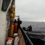 Armada junto a SERNAPESCA fiscalizaron la extracción de albacora