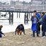 Armada participa en Limpieza de Playa en el marco de la APEC