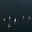 Todo un éxito fue la regata internacional Glorias Navales en Puerto Williams