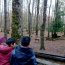 44 niños de Queule y Lago Neltume participaron de “Acercamiento Mar y Cordillera”
