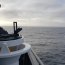 OPV “Pardo” recuperó boya Dart 4G frente a la costa de Constitución