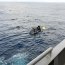 OPV “Pardo” recuperó boya Dart 4G frente a la costa de Constitución