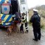 Capitanía de Puerto Chacabuco rescató a 3 personas que estaban extraviadas