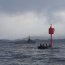 Armada finaliza fondeo de boyas diseñadas exclusivamente para las condiciones del Estrecho de Magallanes