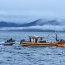 Armada y Sernapesca decomisaron 2 toneladas de erizo