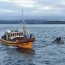 Armada y Sernapesca decomisaron 2 toneladas de erizo