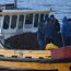 Armada y Sernapesca decomisaron 2 toneladas de erizo