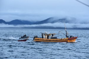 Armada y Sernapesca decomisaron 2 toneladas de erizo