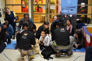Niños del Centro de Rehabilitación "Dalegría" reciben terapia con animales