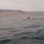 Nueve pescadores salvan con vida tras naufragio de su embarcación