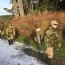 Cadetes Infantes de Marina de la Escuela Naval “Arturo Prat” efectuaron periodo profesional en destacamentos y unidades IM