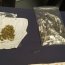 Armada y PDI logran primer decomiso a nivel nacional de droga “WAX”