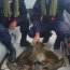 Autoridad Marítima de Taltal rescató tortuga marina que estaba en roqueríos