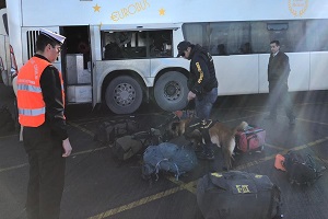 Armada y Carabineros decominsan estupefacientes y sustancias psicotrópicas en operativo conjunto