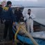  Autoridad Marítima encuentra buzo sin vida en Isla Puluqui  