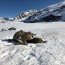 Batallón Infantería de Marina Aldea realizó periodo de entrenamiento en Clima Frío