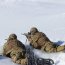 Batallón Infantería de Marina Aldea realizó periodo de entrenamiento en Clima Frío