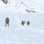 Batallón Infantería de Marina Aldea realizó periodo de entrenamiento en Clima Frío
