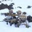 Batallón Infantería de Marina Aldea realizó periodo de entrenamiento en Clima Frío