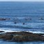 Armada participó en rebusca de pescador desaparecido al sur de Pisagua