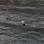 Armada participó en rebusca de pescador desaparecido al sur de Pisagua