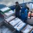 Autoridad Marítima realizó amplia fiscalización pesquera en Aysén