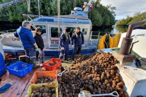 Autoridad Marítima realizó amplia fiscalización pesquera en Aysén