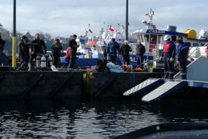 Limpieza de playa y fondo marino recolectó 4 toneladas de basura en caleta La Vega de Calbuco