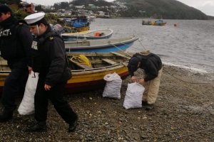 Autoridad Marítima de Ancud incautó 100 kilos de almejas de baja talla