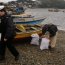 Autoridad Marítima de Ancud incautó 100 kilos de almejas de baja talla
