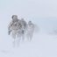 Destacamento de Infantería de Marina N°4 Cochrane realiza entrenamiento de clima frío en Monte Tarn