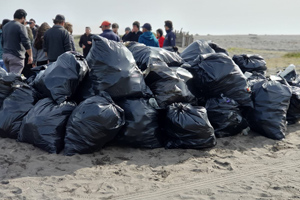 2 toneladas de basura retiró personal de la Capitanía de Puerto de Lirquén en limpieza de playas