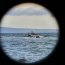 Amplio operativo permitió el rescate de tres personas en Tierra del Fuego