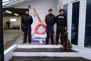 Binomio canino combate el microtráfico en la región de Aysén