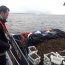 Histórica incautación: 15.5 toneladas de erizo en la región de Aysén