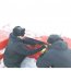 Base Naval Antártica conmemoró los 70 años de la desaparición del Sargento 1° Gustavo Rojas