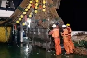 Buque científico "Cabo de Hornos" realiza crucero para evaluar stock de merluza en el sur del país