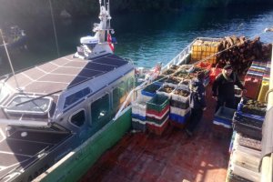 Nueva incautación de 6.8 toneladas de erizo en región de Aysén