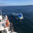 Comisión de la Armada y autoridades locales fiscalizan contaminación marina en zonas protegidas de Coquimbo