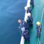  Buque Cabo de Hornos participa en estudio científico en la bahía de Quintero  