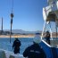Buque Cabo de Hornos participa en estudio científico en la bahía de Quintero