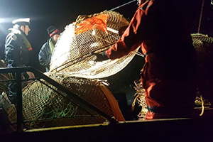 34 kilómetros de redes para extracción de centolla decomisó Autoridad Marítima de Puerto Williams