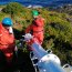 Lancha de Servicios Generales Alacalufe finaliza exitosa misión en Isla Picton