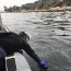 Autoridad Marítima realizó el avistamiento de una mancha oleosa en la bahía de Quintero
