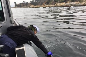 Autoridad Marítima realizó el avistamiento de una mancha oleosa en la bahía de Quintero