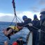 Tercera Zona Naval apoyó rescate de naufragio en Islas Wollaston.