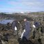 En Rapa Nui se recolectó 2. 5 toneladas de basura en una nueva limpieza de playas con el apoyo de la Armada.