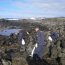  En Rapa Nui se recolectó 2. 5 toneladas de basura en una nueva limpieza de playas con el apoyo de la Armada.  