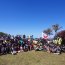 En Rapa Nui se recolectó 2. 5 toneladas de basura en una nueva limpieza de playas con el apoyo de la Armada.